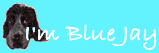 I'm Blue Jay